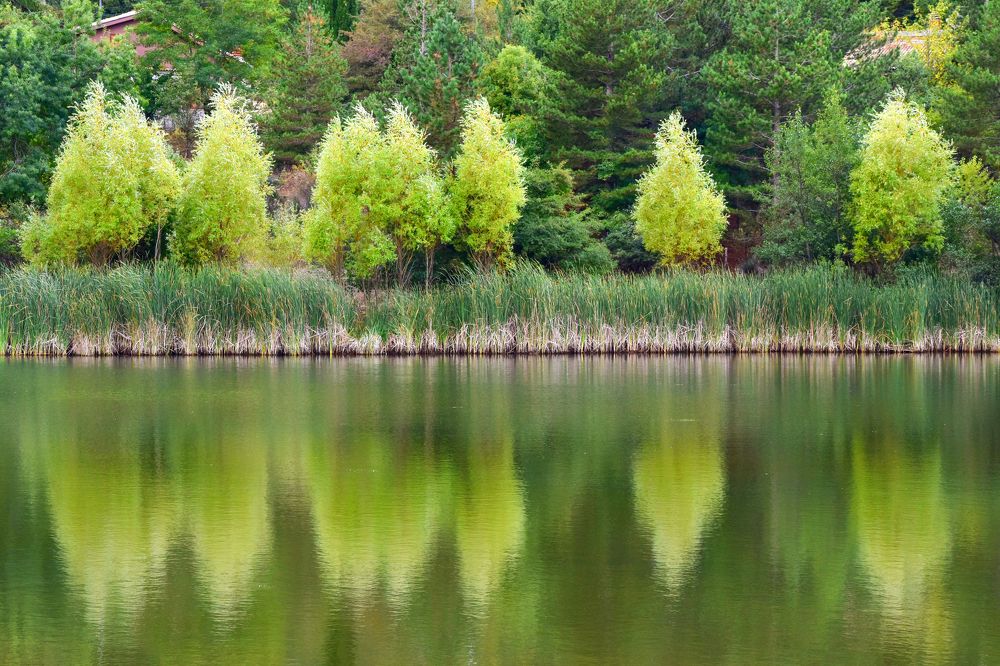 Photograph by Teresa Molinaro