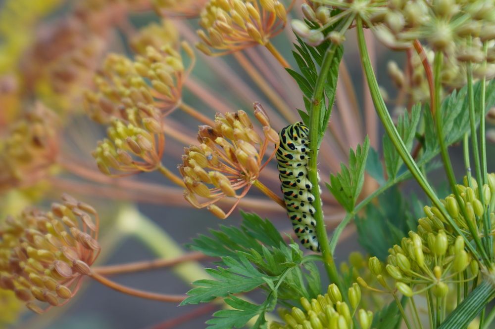 Photograph by Дарья Ринас