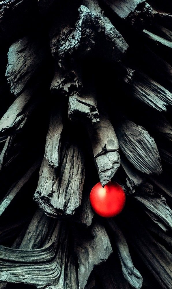 Photograph by Maria Sat