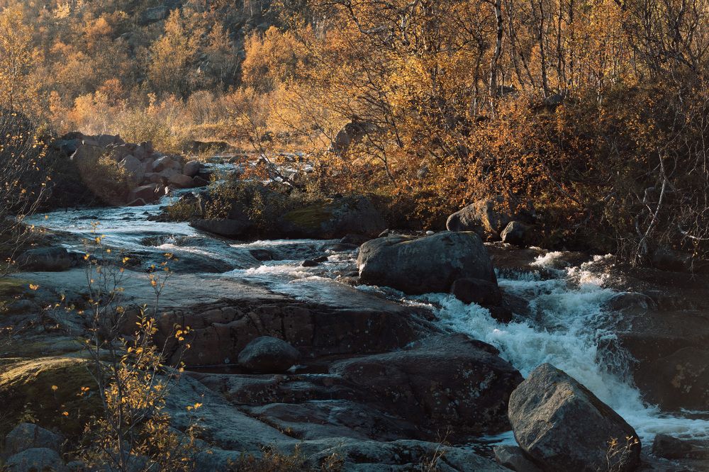 Photograph by Светлана Лебедева