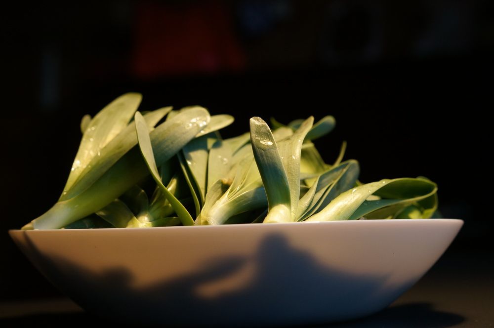 Photograph by Дарья Ринас