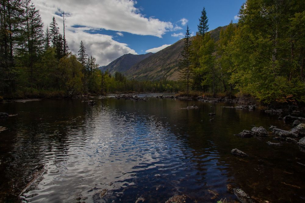 Photograph by Ксения Никифорова