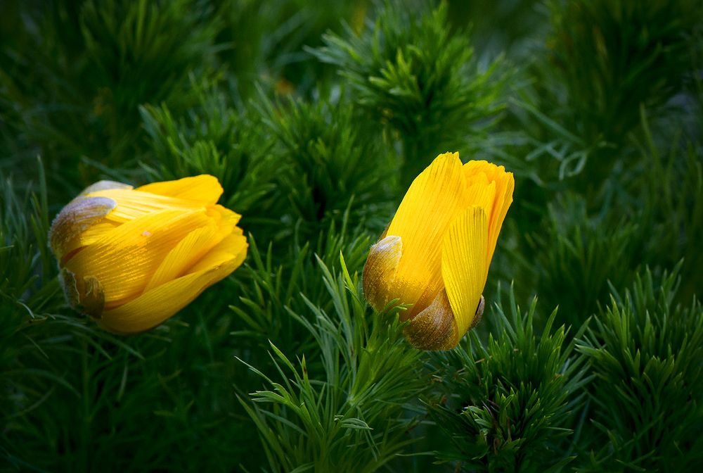 Photograph by Владислав Никишин