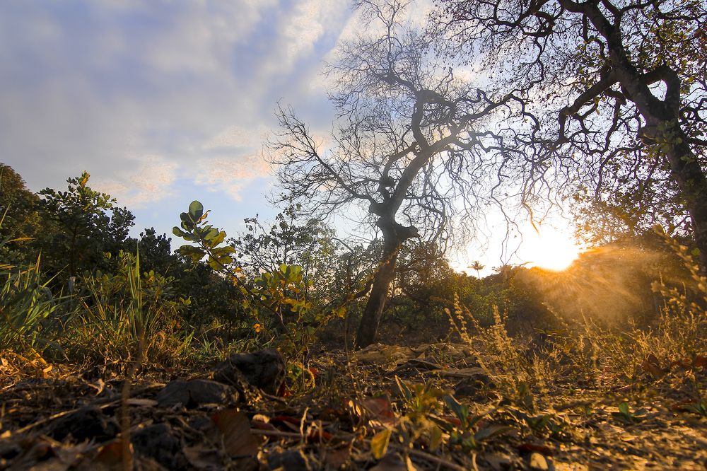 Photograph by dewa putra