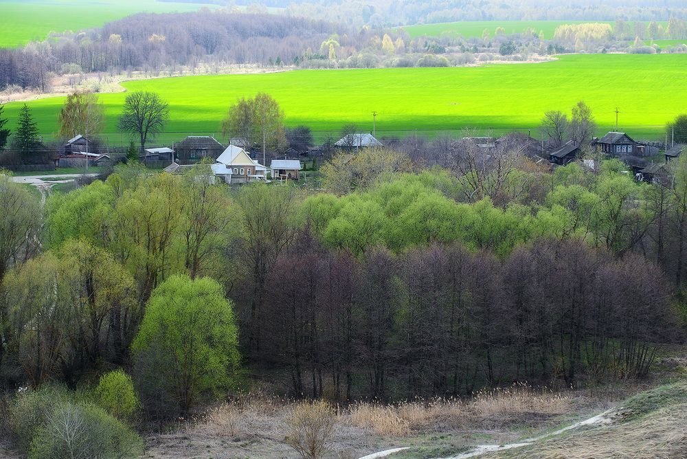 Photograph by Владислав Никишин