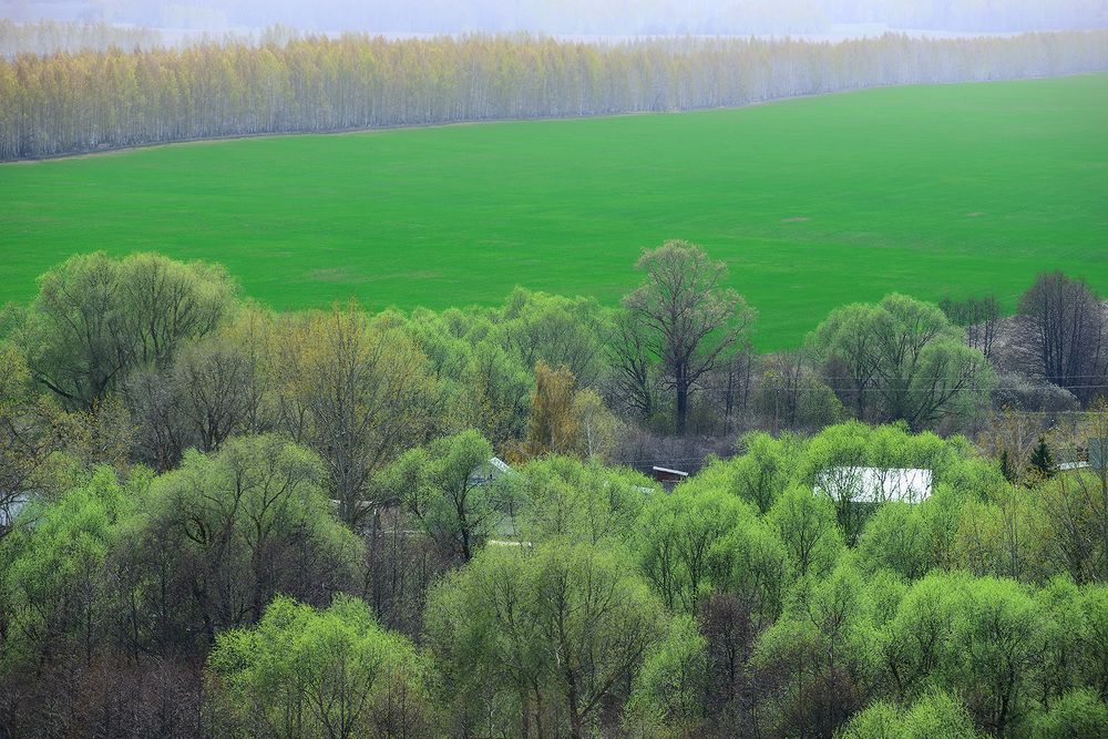 Photograph by Владислав Никишин