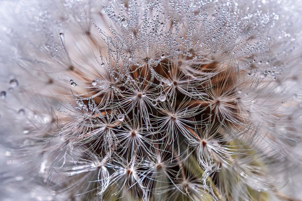 Photograph by Viktor Makarov