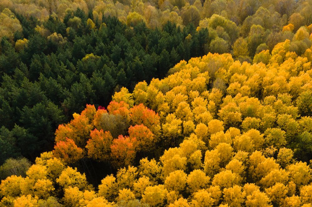 Photograph by Анна Майорова