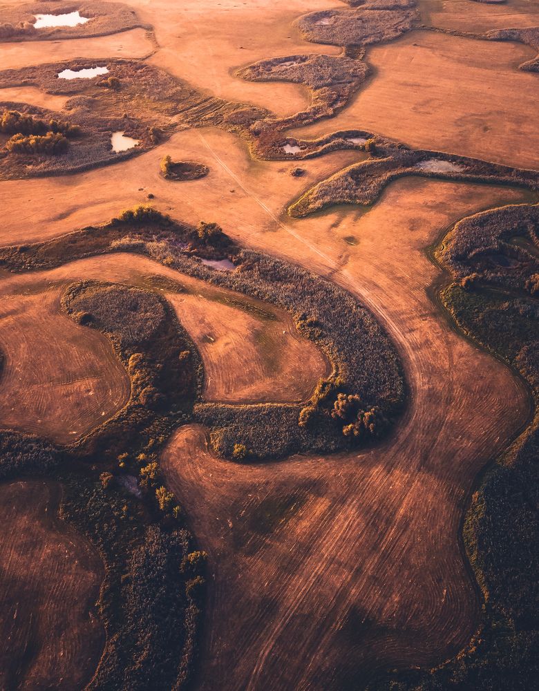 Photograph by Виталий Попов