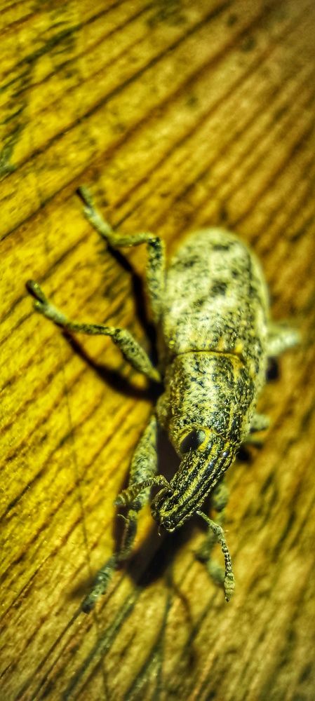 Photograph by Валентин Волк