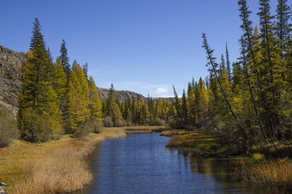 Photograph by Елена Павлова