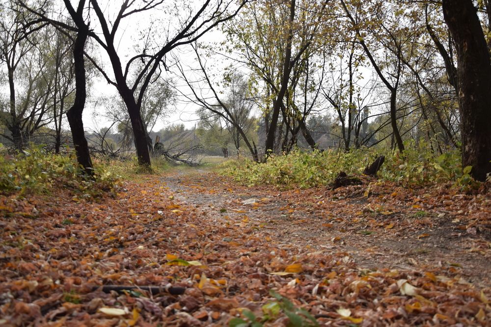 Photograph by Валентина Назина