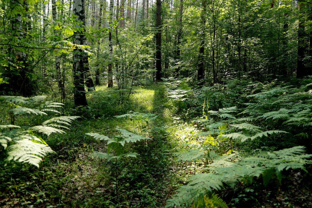 Photograph by Моложников Юрий