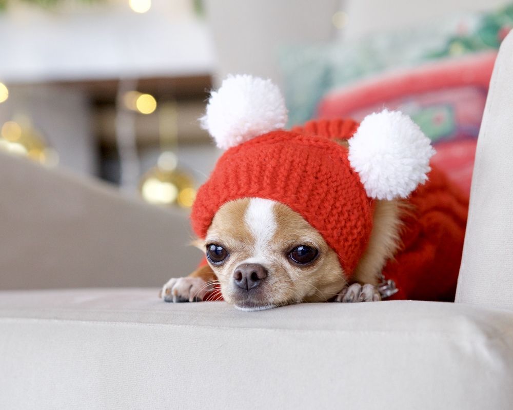 Photograph by Ольга Сафонова