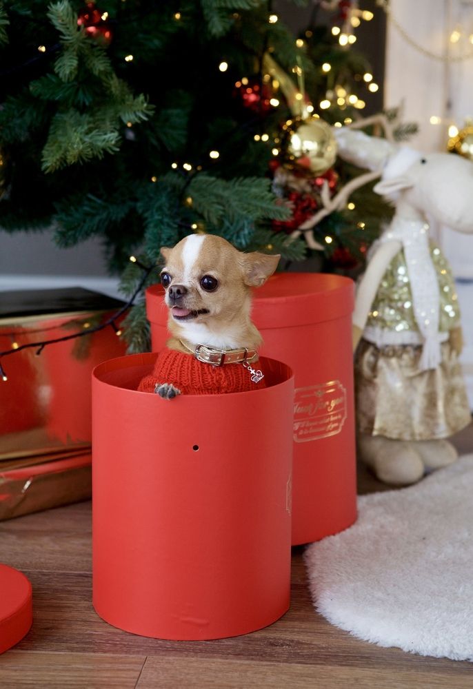 Photograph by Ольга Сафонова