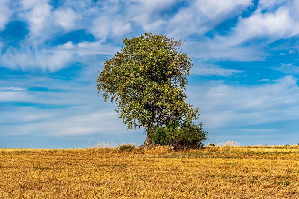 Photograph by Ludovit Repan