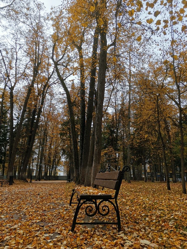 Photograph by Юля Шуравенкова