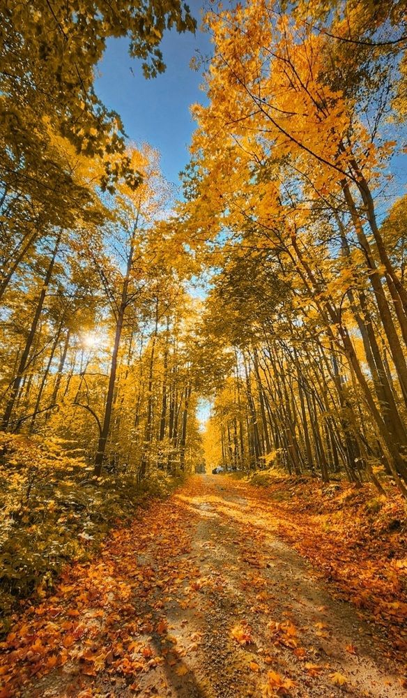 Photograph by Konstantin Martynov