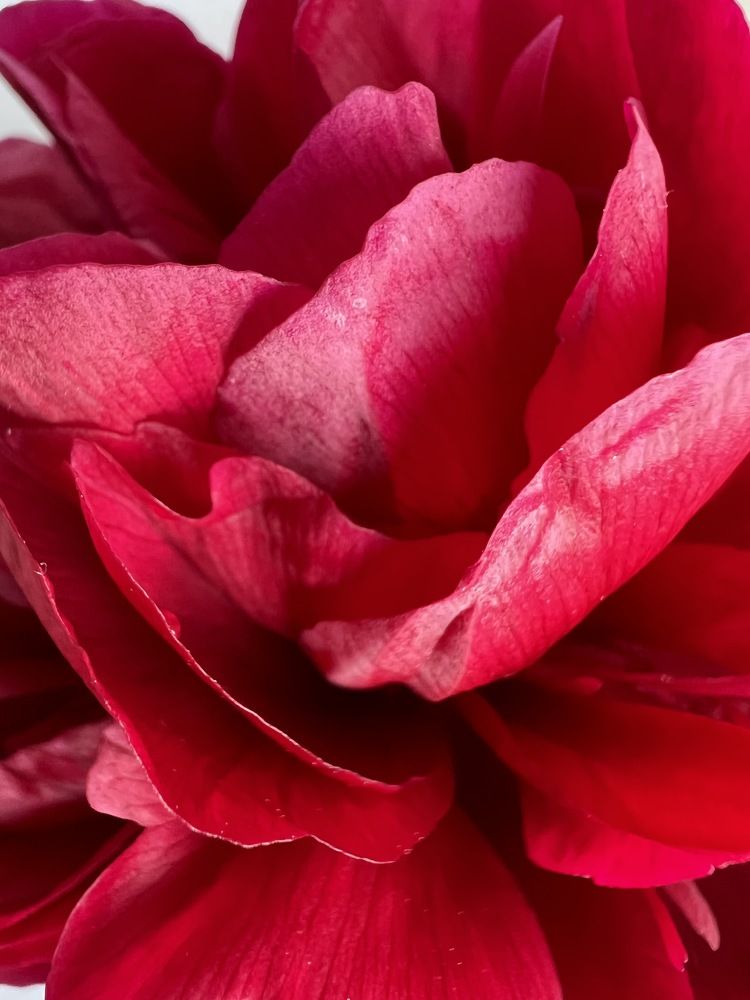 Фотография автора Марина Матьянова