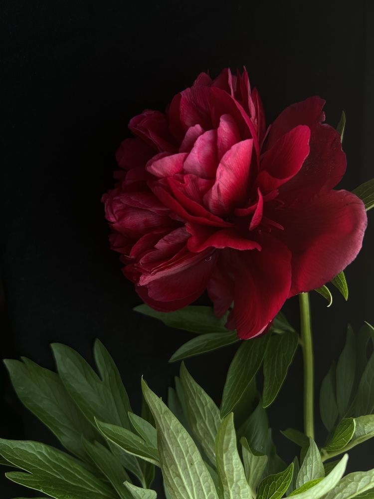 Фотография автора Марина Матьянова