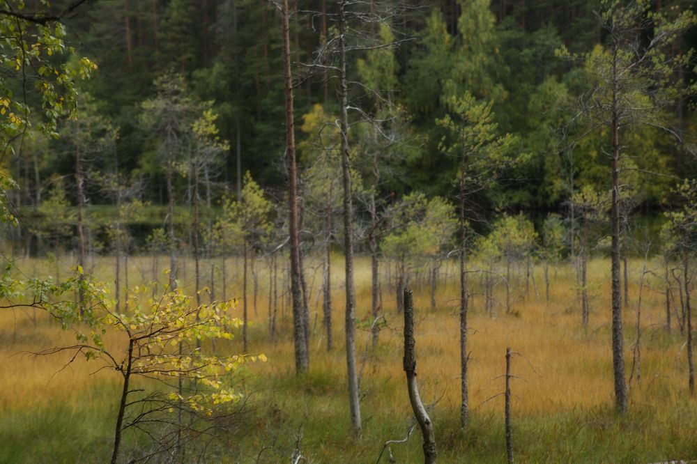 Photograph by KateAkh