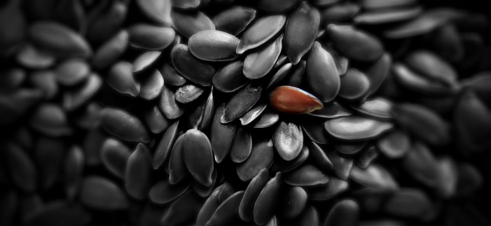 Photograph by Konstantin Martynov