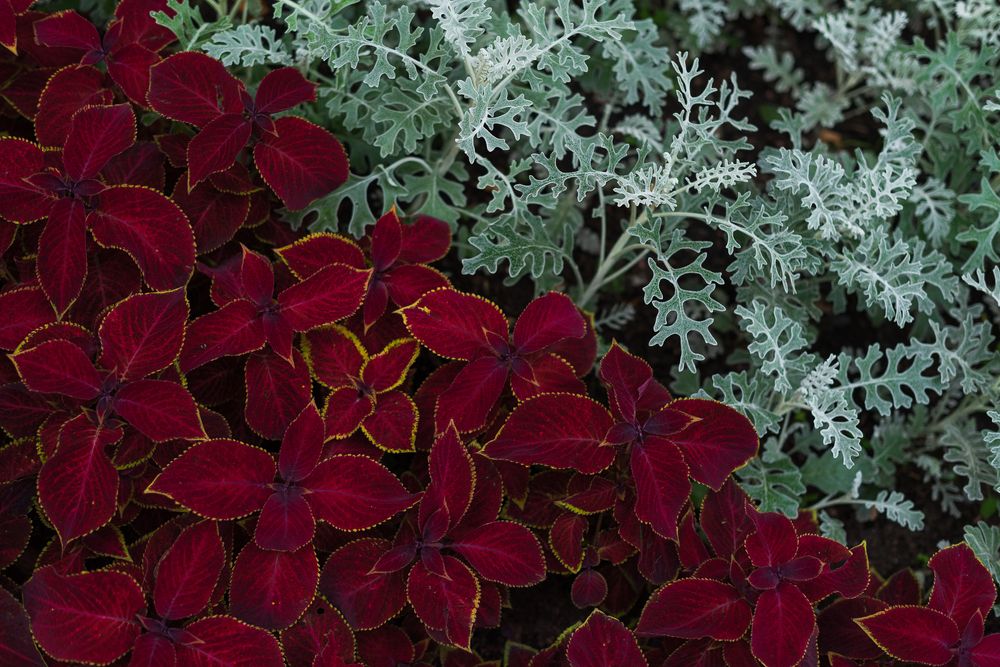 Photograph by Анна Чеснокова