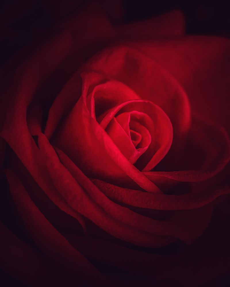 Photograph by Эльвира Курочкина