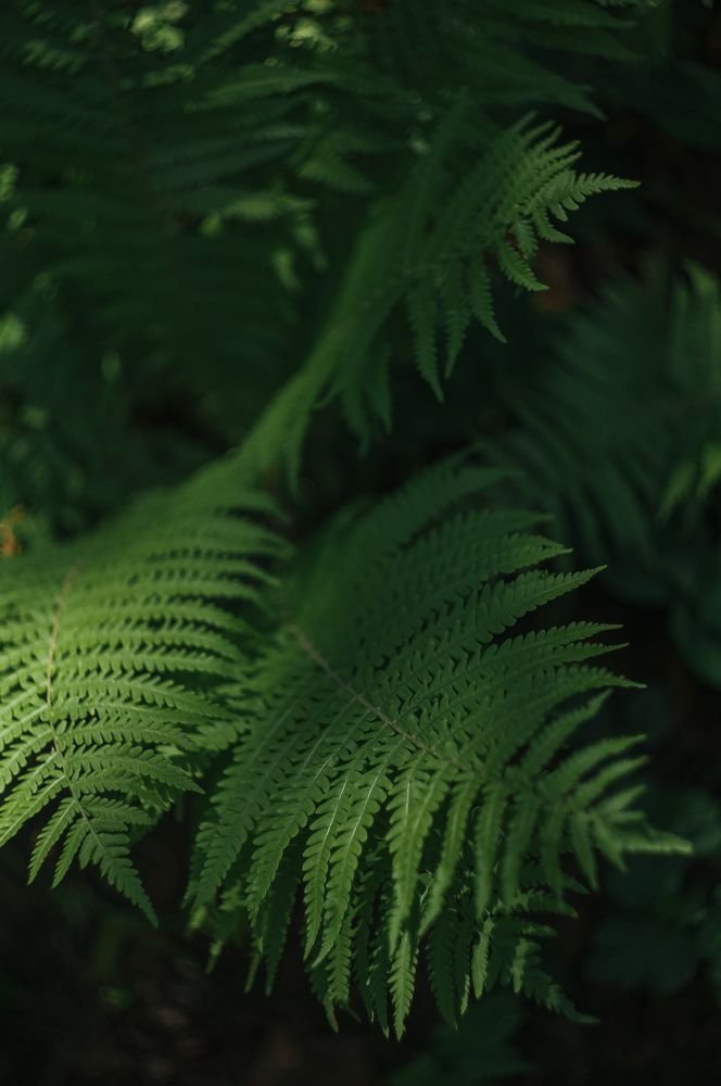 Photograph by Татьяна Зубехина