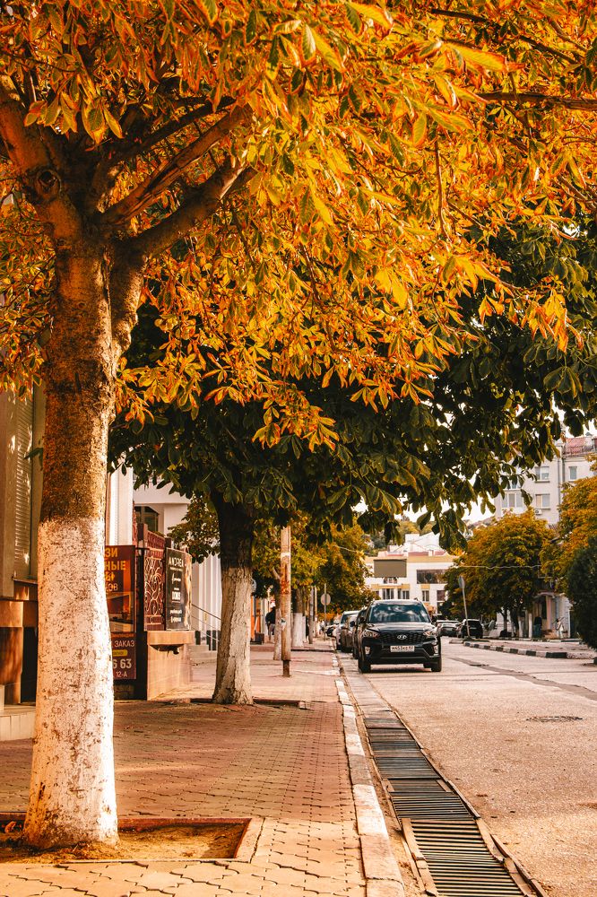 Photograph by Алексей Марченков