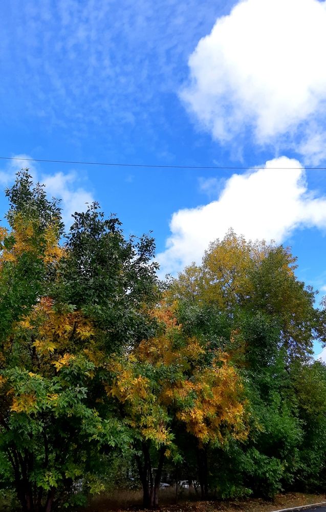 Photograph by Ольга Александрова