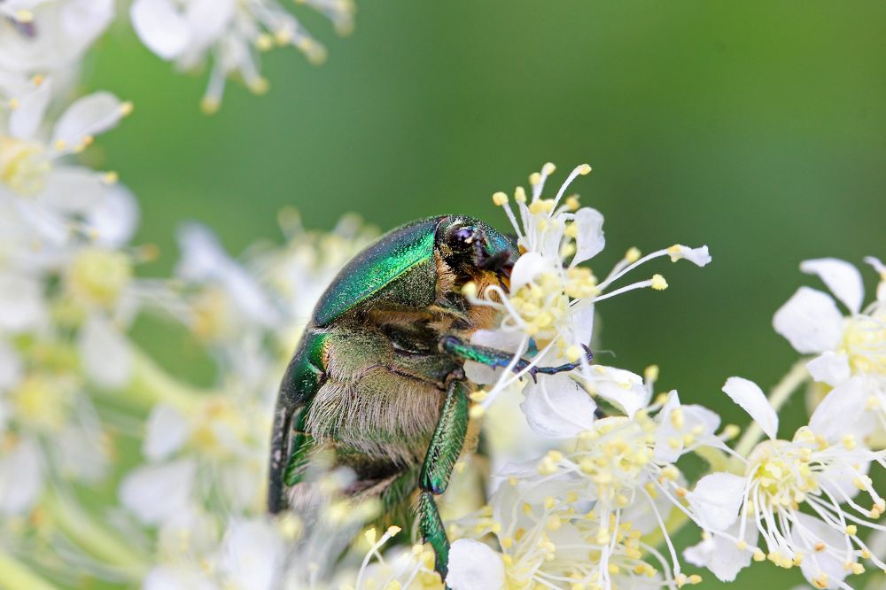 Фотография автора Кухта Мария