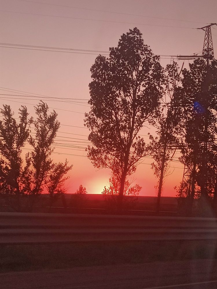 Photograph by Елизавета Мишина