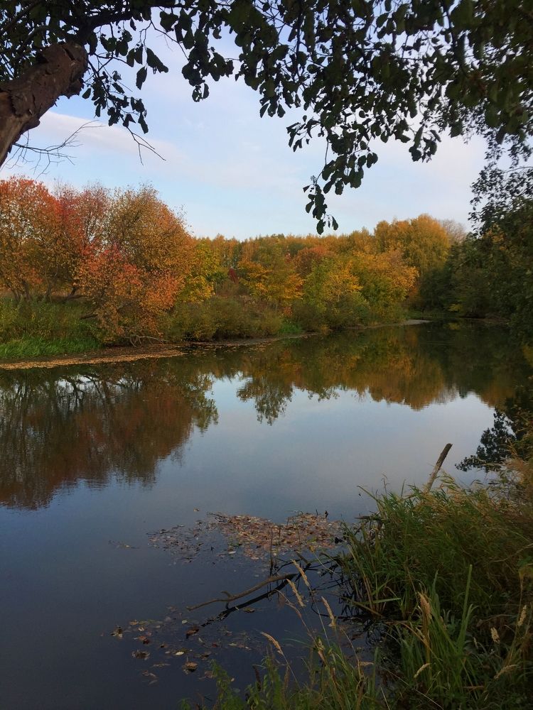 Photograph by Дарья