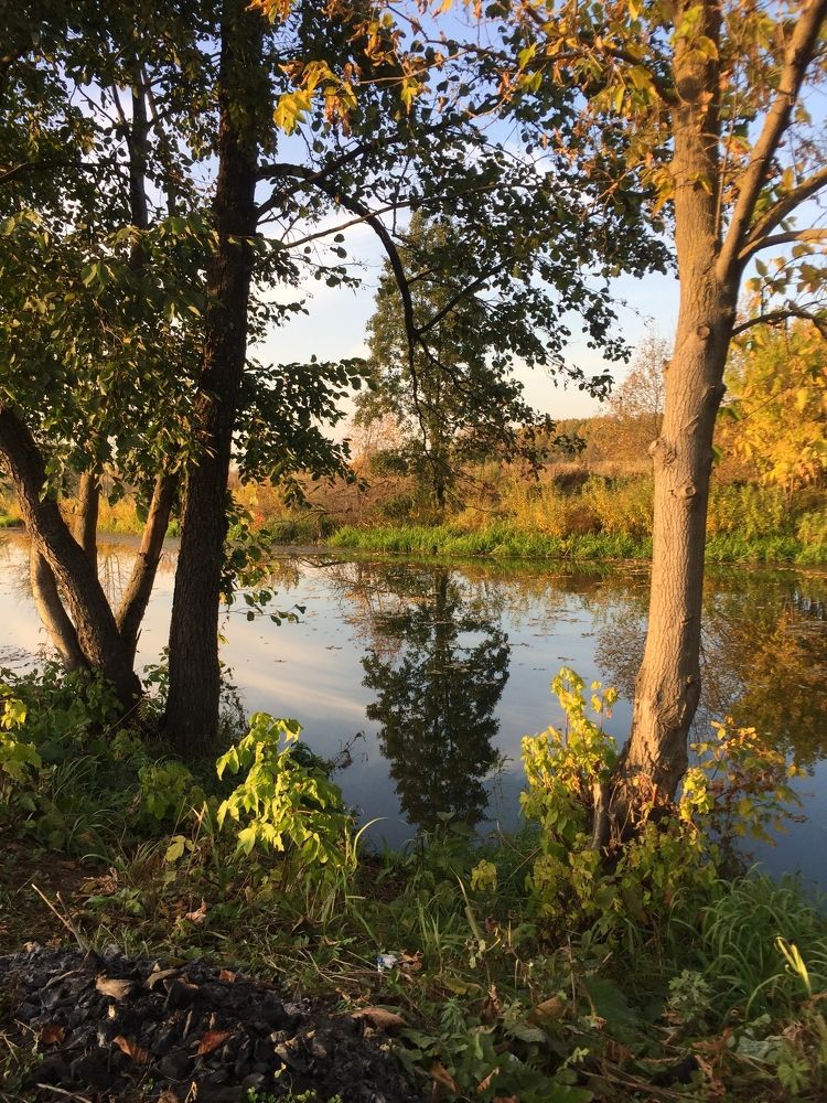 Photograph by Дарья