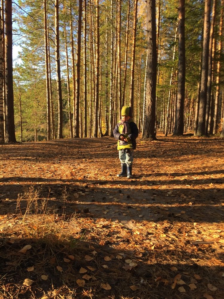 Photograph by Дарья