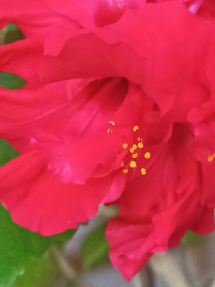 Photograph by Елизавета Мишина