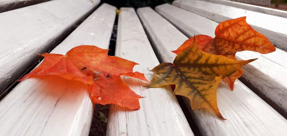 Photograph by Евгения Ульянова