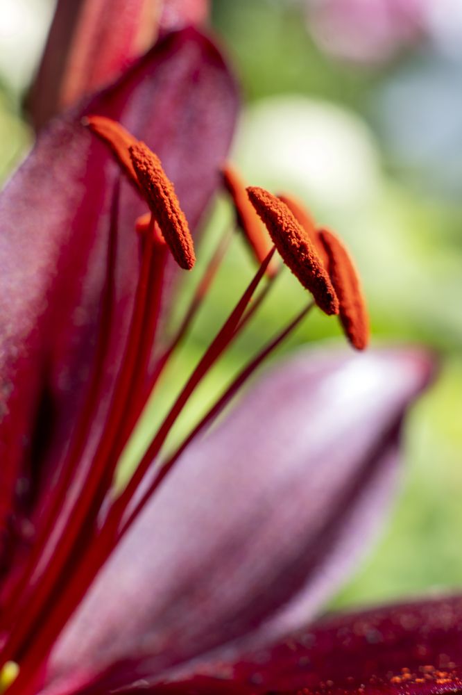 Photograph by Серебренников Михаил