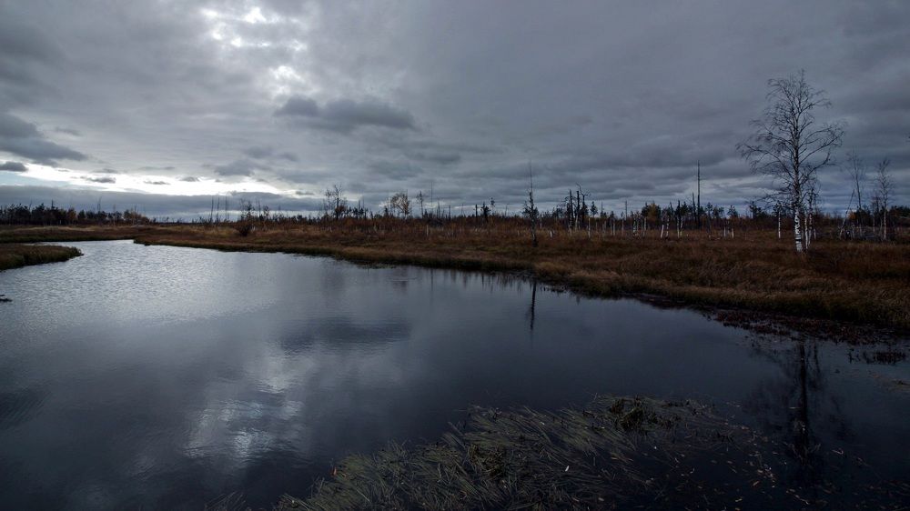 Старица - скоро зима.