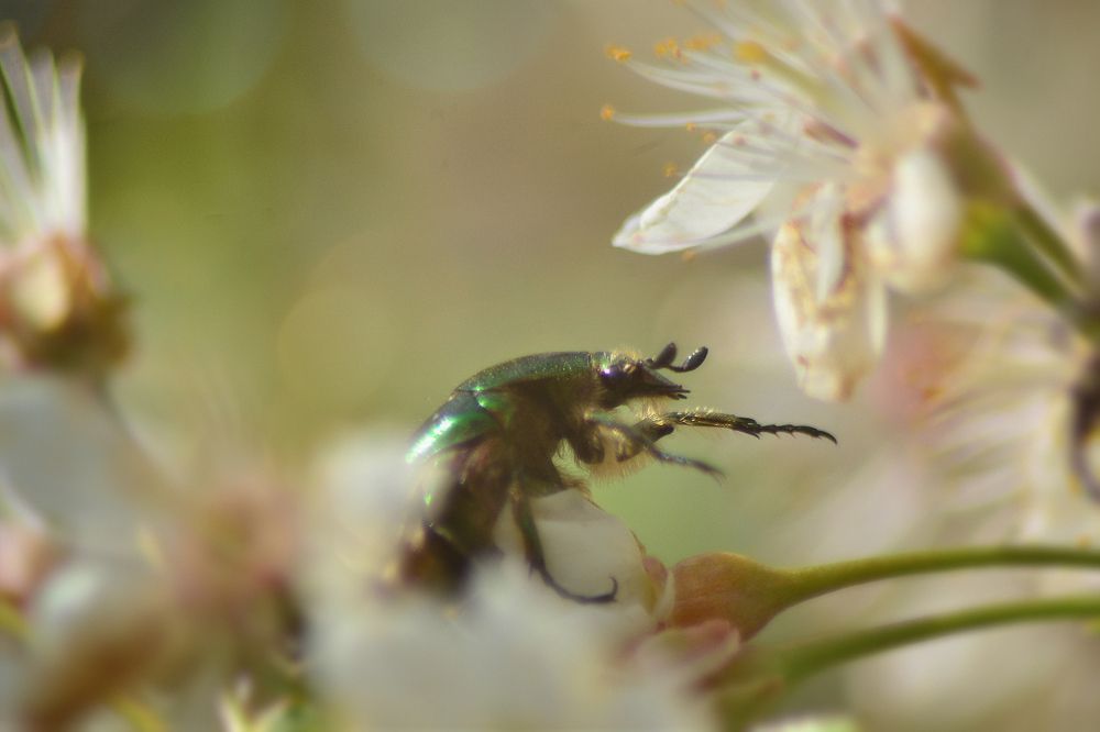 Photograph by Алексей Литвинов