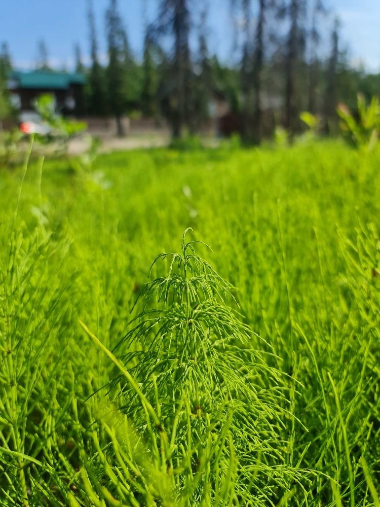 Photograph by Екатерина