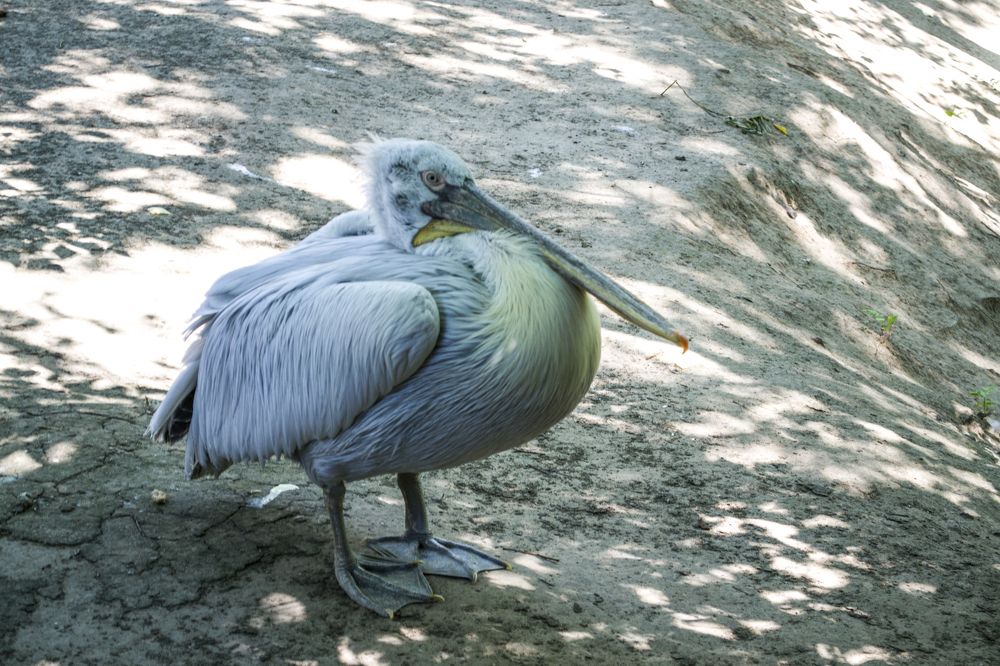 Photograph by Елизавета Большакова