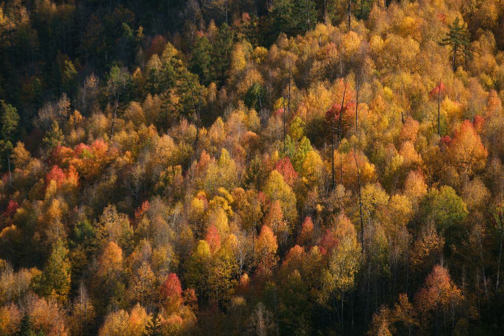 Контраст гор Алтая