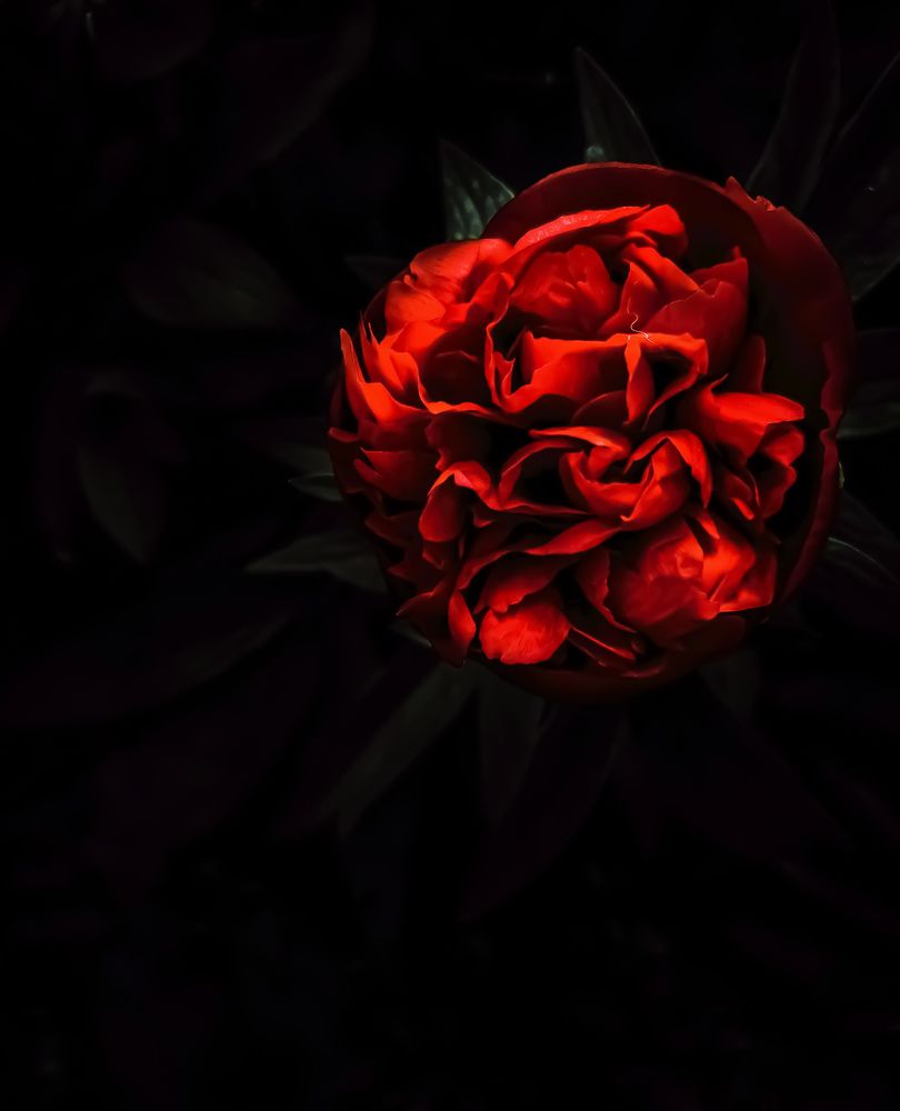 Photograph by Ирина Панкова