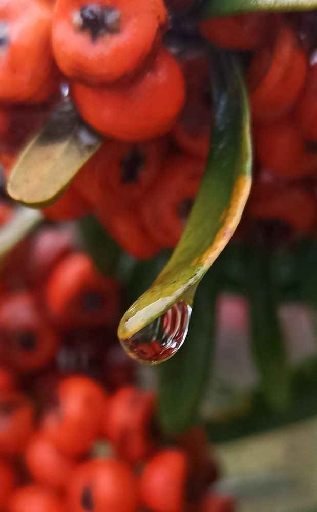 Photograph by Тихонова Ольга