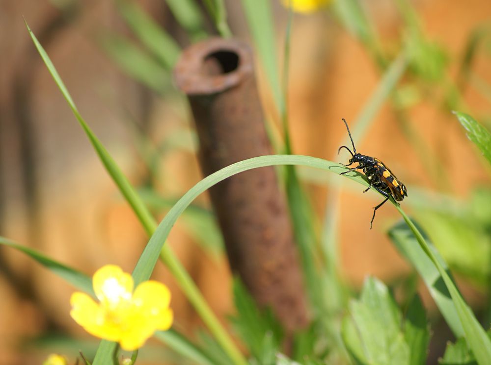 Photograph by Светлана Тарханова