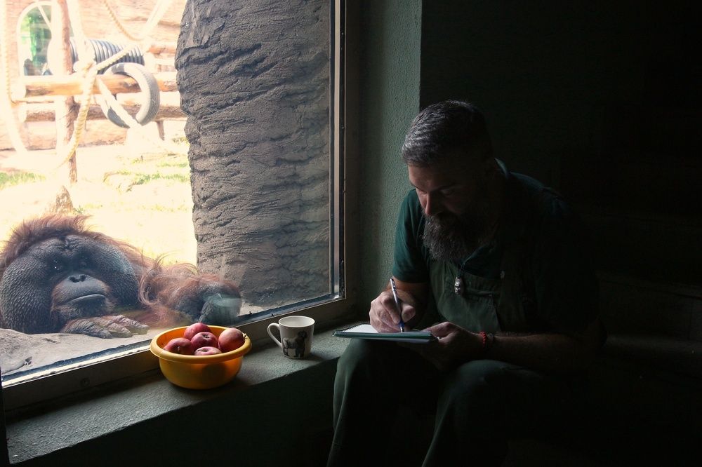 Фотография автора Елена Кириллова