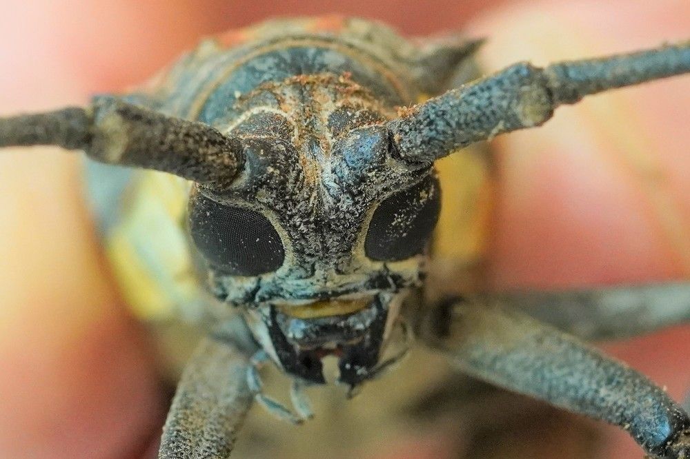 Photograph by Tamir Mor