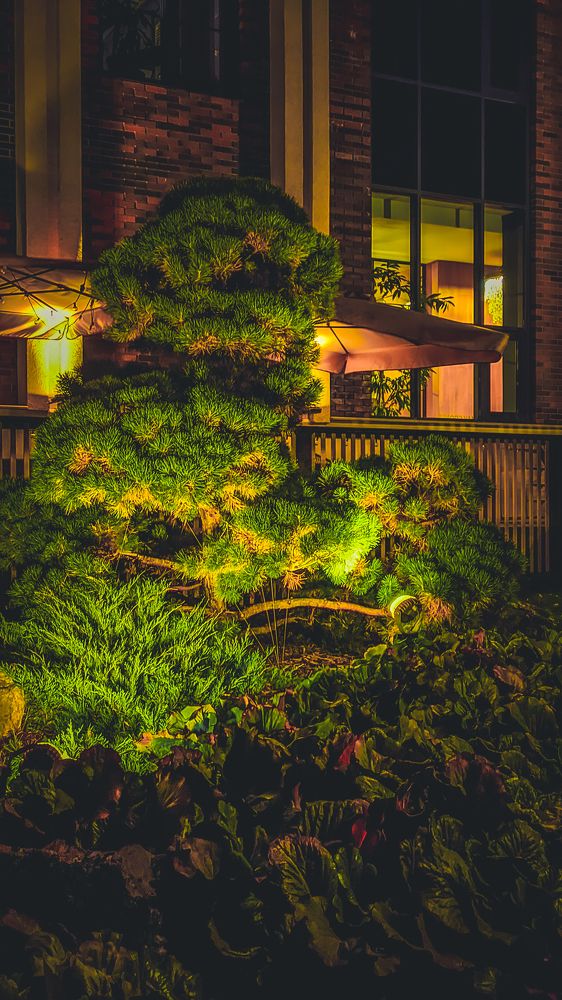 Photograph by Денис Бочаров